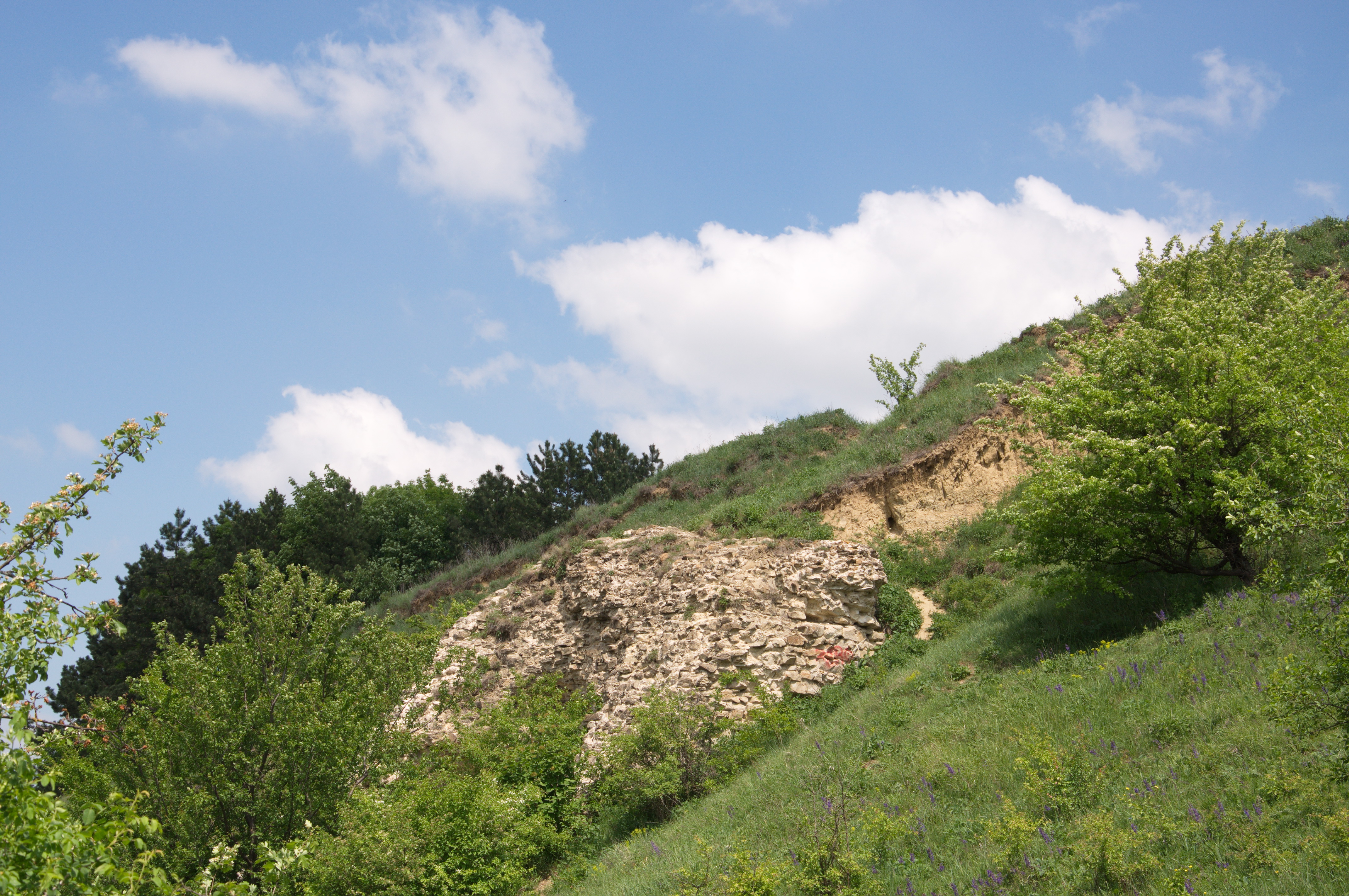 The Ruins of Șcheia Fortress
